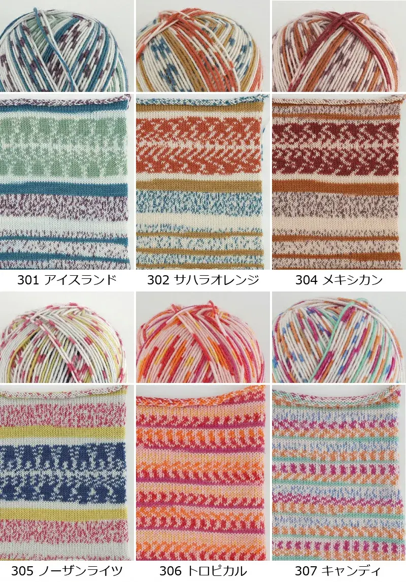 【856】カメレオンカメラ2 2