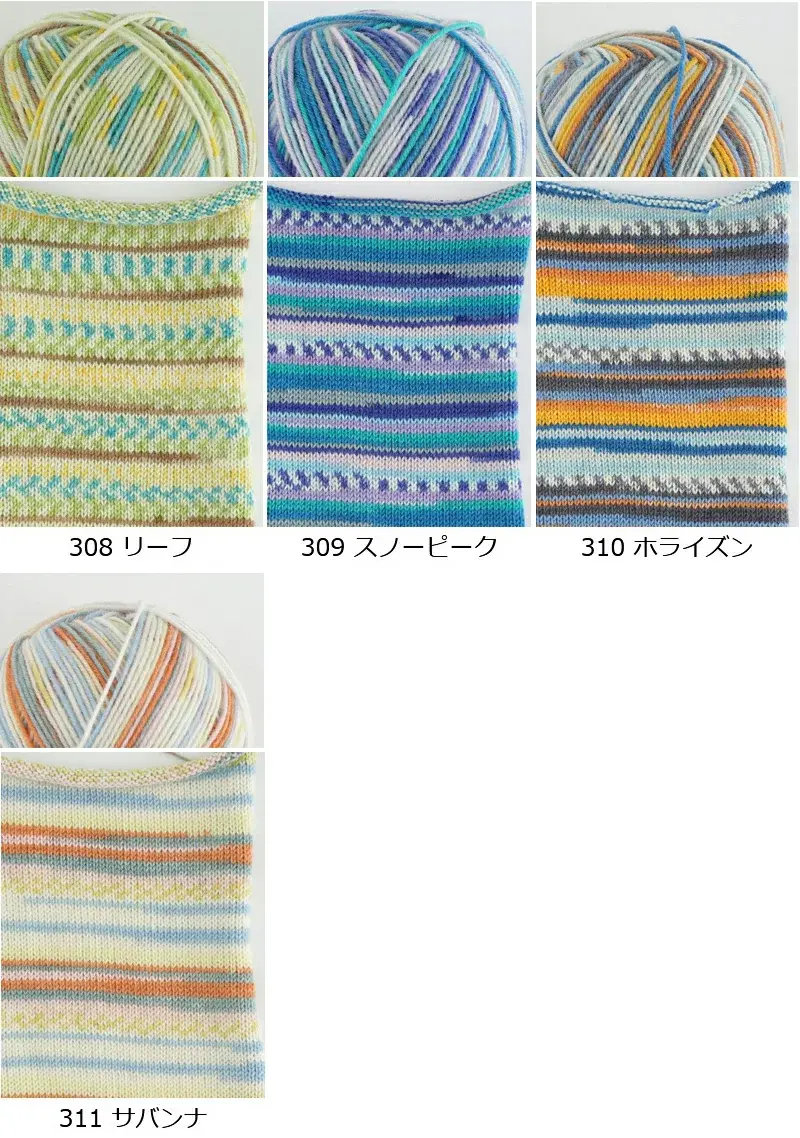 【856】カメレオンカメラ2 3